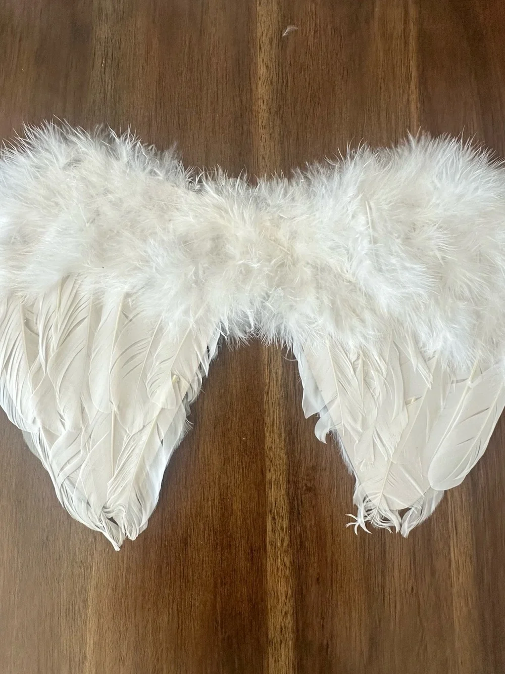 Tutu.kk transform your